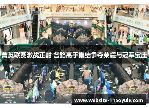 菁英联赛激战正酣 各路高手集结争夺荣耀与冠军宝座